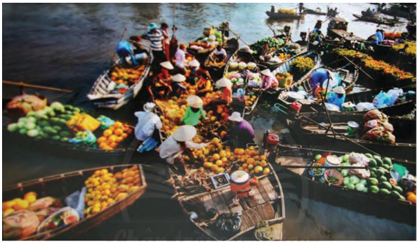 Soạn bài Chợ Nổi – Nét văn hóa sông nước miền Tây - Ngắn nhất Chân trời sáng tạo (ảnh 1)