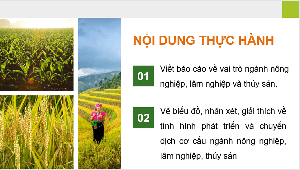 Gi&aacute;o &aacute;n điện tử Địa l&iacute; 12 B&agrave;i 15 (Ch&acirc;n trời s&aacute;ng tạo): Thực h&agrave;nh: T&igrave;m hiểu vai tr&ograve;, t&igrave;nh h&igrave;nh ph&aacute;t triển v&agrave; chuyển dịch cơ cấu ng&agrave;nh n&ocirc;ng nghiệp, l&acirc;m nghiệp, thuỷ sản (ảnh 1)