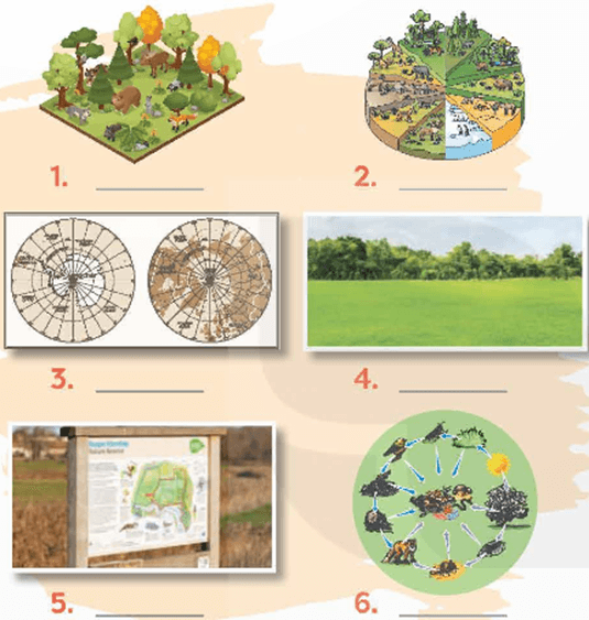 Tiếng Anh 9 Unit 10: Planet Earth - Global Success (ảnh 3)