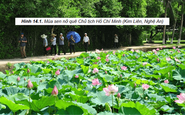 Giáo án điện tử Lịch sử 12 Bài 14 (Chân trời sáng tạo): Khái quát về cuộc đời và sự nghiệp của Hồ Chí Minh (ảnh 1)