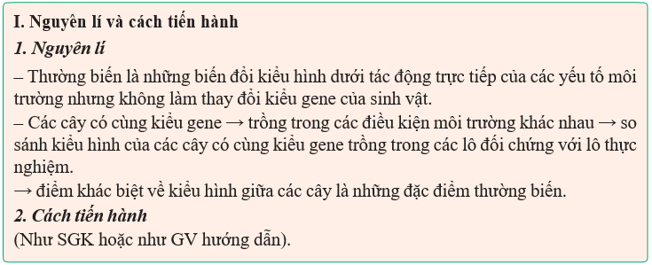 Giáo án điện tử Sinh học 12 (Kết nối tri thức): Bài 17: Thực hành: Thí nghiệm về thường biến ở cây trồng (ảnh 1)