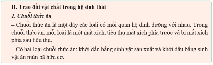 Gi&aacute;o &aacute;n điện tử Sinh học 12 (Kết nối tri thức): B&agrave;i 29: Trao đổi vật chất v&agrave; chuyển ho&aacute; năng lượng trong hệ sinh th&aacute;i (ảnh 1)
