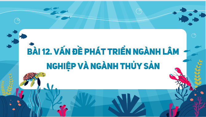 Giáo án điện tử Địa lí 12 Bài 12 (Kết nối tri thức): Vấn đề phát triển ngành lâm nghiệp và ngành thuỷ sản (ảnh 1)