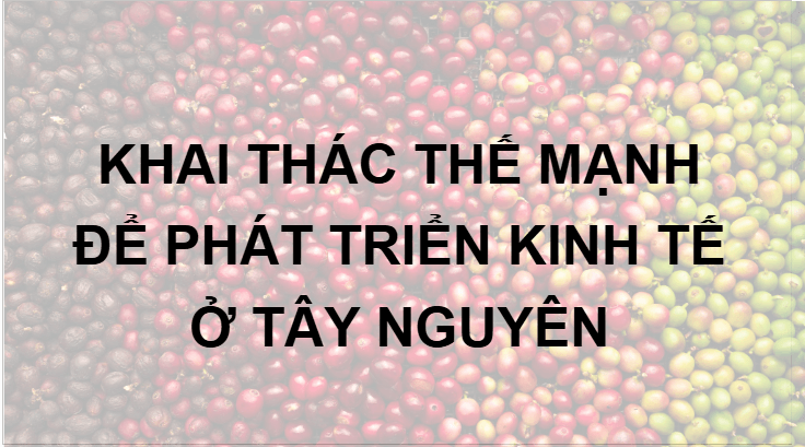 Giáo án điện tử Địa lí 12 Bài 28 (Kết nối tri thức): Khai thác thế mạnh để phát triển kinh tế ở Tây Nguyên (ảnh 1)