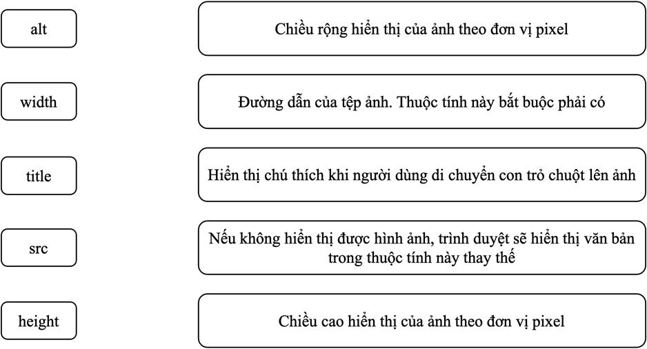 Giáo án điện tử Tin học 12 (Chân trời sáng tạo): Bài F6: Dự án tạo trang web (ảnh 1)