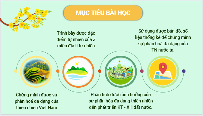 Giáo án điện tử Địa lí 12 Bài 3 (Kết nối tri thức): Sự phân hoá đa dạng của thiên nhiên (ảnh 1)
