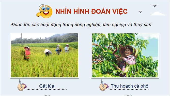 Giáo án điện tử Địa lí 12 Bài 12 (Chân trời sáng tạo): Vấn đề phát triển nông nghiệp (ảnh 1)