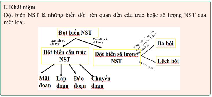 Giáo án điện tử Sinh học 12 (Kết nối tri thức): Bài 12: Đột biến nhiễm sắc thể (ảnh 1)