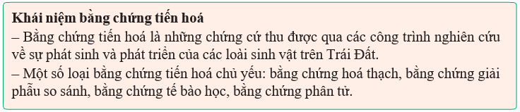 Gi&aacute;o &aacute;n điện tử Sinh học 12 (Kết nối tri thức): B&agrave;i 19: C&aacute;c bằng chứng tiến ho&aacute; (ảnh 1)