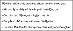 Giáo án điện tử Tin học 12 (Cánh diều): Bài 4: Trình bày nội dung theo dạng danh sách, bảng biểu (ảnh 1)