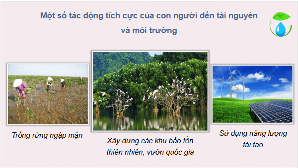 Giáo án điện tử Địa lí 12 Bài 6 (Chân trời sáng tạo): Thực hành: Sử dụng hợp lí tài nguyên và bảo vệ môi trường địa phương (ảnh 1)
