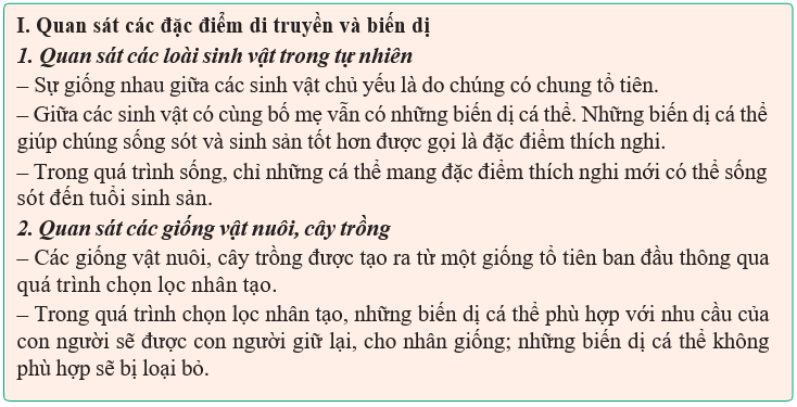 Giáo án điện tử Sinh học 12 (Kết nối tri thức): Bài 20: Quan niệm của Darwin về chọn lọc tự nhiên và hình thành loài (ảnh 1)