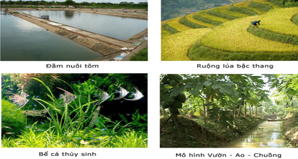 Xây dựng hệ sinh thái nông nghiệp công nghệ cao kết hợp du lịch tại Sơn La