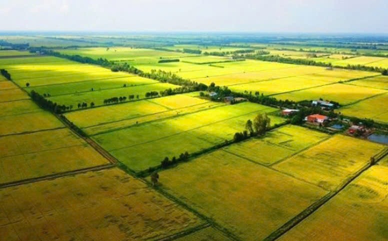 Giấy ủy quyền đất đai c&oacute; thời hạn bao l&acirc;u?