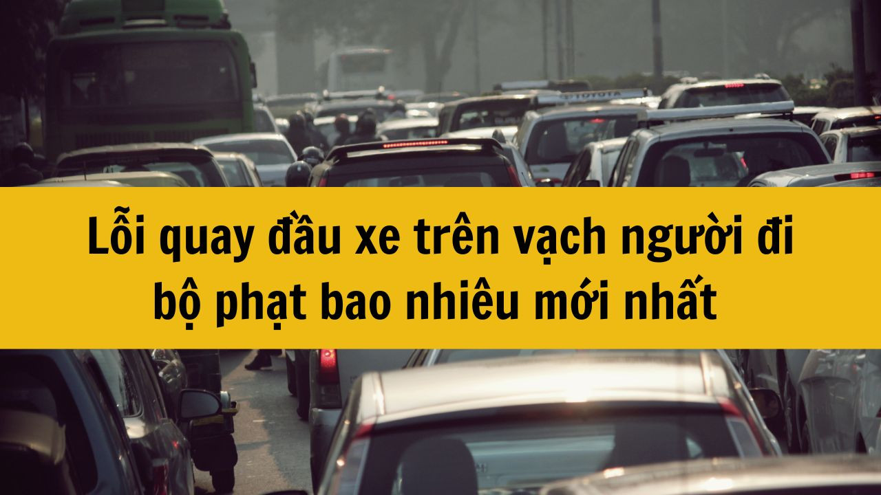 Lỗi quay đầu xe tr&ecirc;n vạch người đi bộ phạt bao nhi&ecirc;u mới nhất 