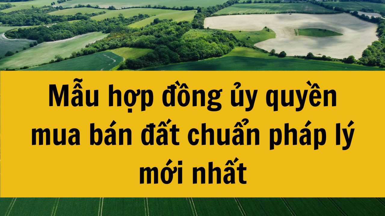Mẫu hợp đồng ủy quyền mua b&aacute;n đất chuẩn ph&aacute;p l&yacute; mới nhất 