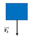 Biểu diễn các lực sau với tỉ xích 1 cm ứng với 2 N (ảnh 1)