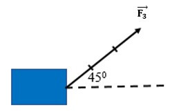 Biểu diễn các lực sau với tỉ xích 1 cm ứng với 2 N (ảnh 1)
