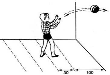 Ném mạnh một quả bóng tennis vào mặt tường phẳng Lực mà quả bóng tác dụng vào mặt tường (ảnh 1)