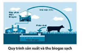 Ở nhiều vùng nông thôn, người ta xây dựng hầm biogas để thu gom chất thải động vật (ảnh 1)