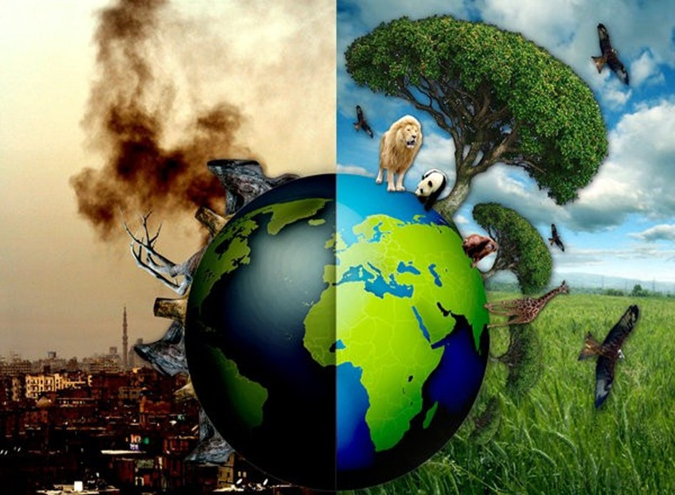 Viết đoạn văn 8-10 câu về ô nhiễm môi trường (5 mẫu) (ảnh 1)