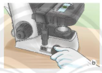 Lý thuyết Khoa học tự nhiên 6 Bài 3: Quy định an toàn trong phòng thực hành. Giới thiệu một số dụng cụ đo – Sử dụng kính lúp và kính hiển vi quang học - Chân trời sáng tạo (ảnh 1)