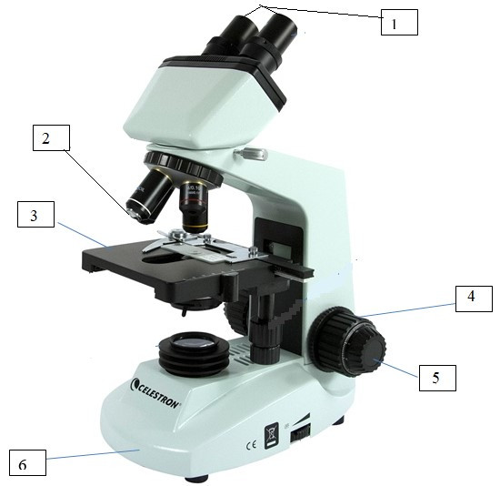 Hãy ghi chú thích các bộ phận của kính hiển vi quang học trong hình 2.2 (ảnh 1)
