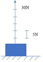 Hãy vẽ các mũi tên biểu diễn lực trong các trường hợp sau đây theo tỉ xích 0,5 cm ứng với 5 N (ảnh 1)