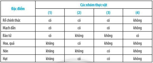 Ở dương xỉ, các túi bào tử nằm ở đâu (ảnh 1)