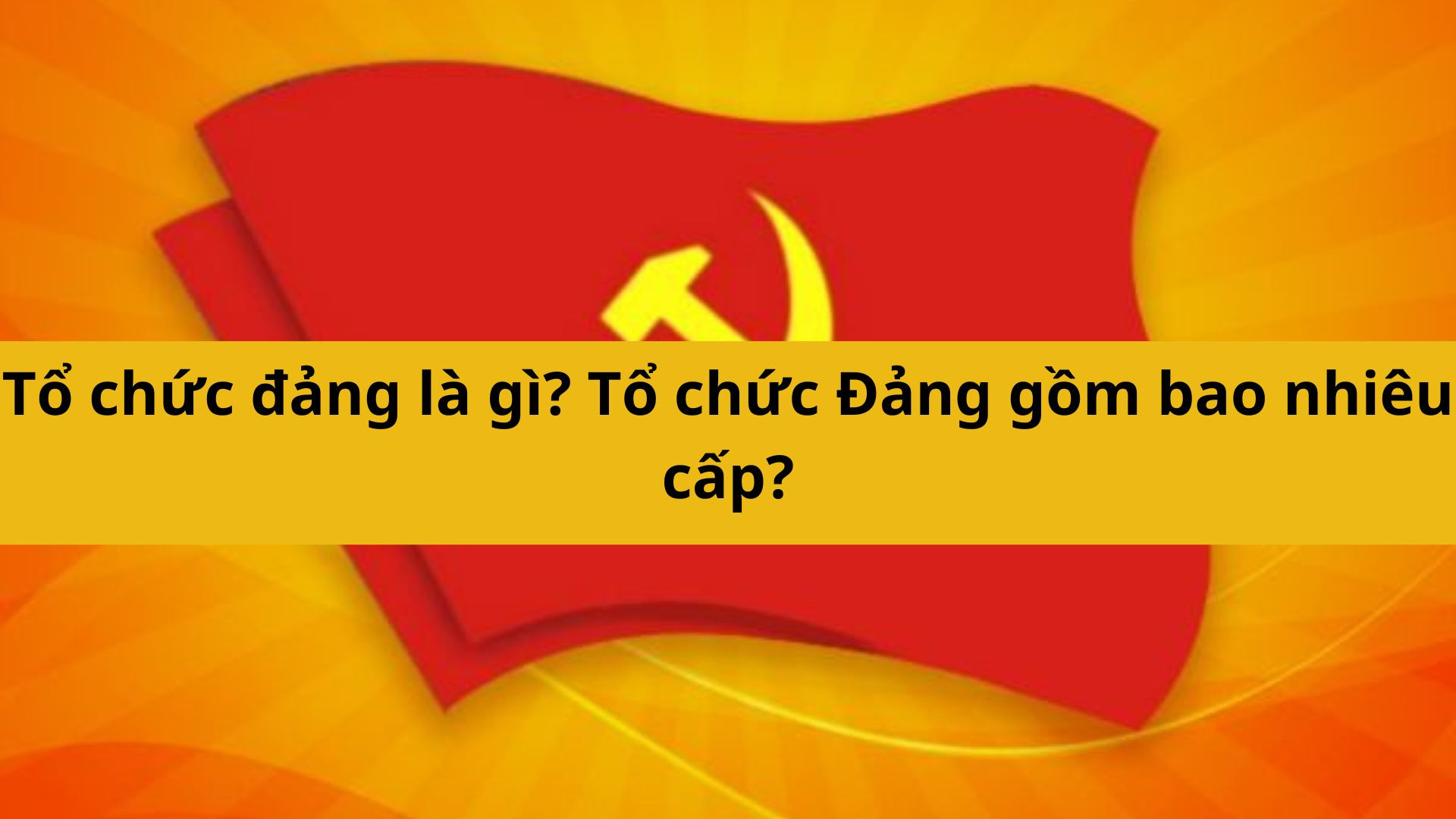 Tổ chức đảng l&agrave; g&igrave;? Tổ chức Đảng gồm bao nhi&ecirc;u cấp?