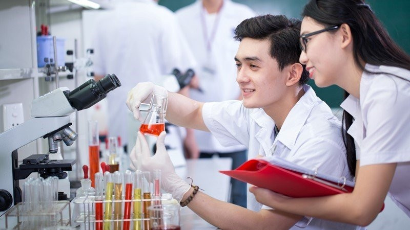 Quyền v&agrave; nghĩa vụ của người l&agrave;m c&ocirc;ng t&aacute;c dược gồm những g&igrave;?