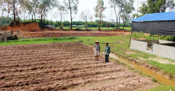 03 c&aacute;ch giải quyết tranh chấp đất đai được &aacute;p dụng mới nhất năm 2025