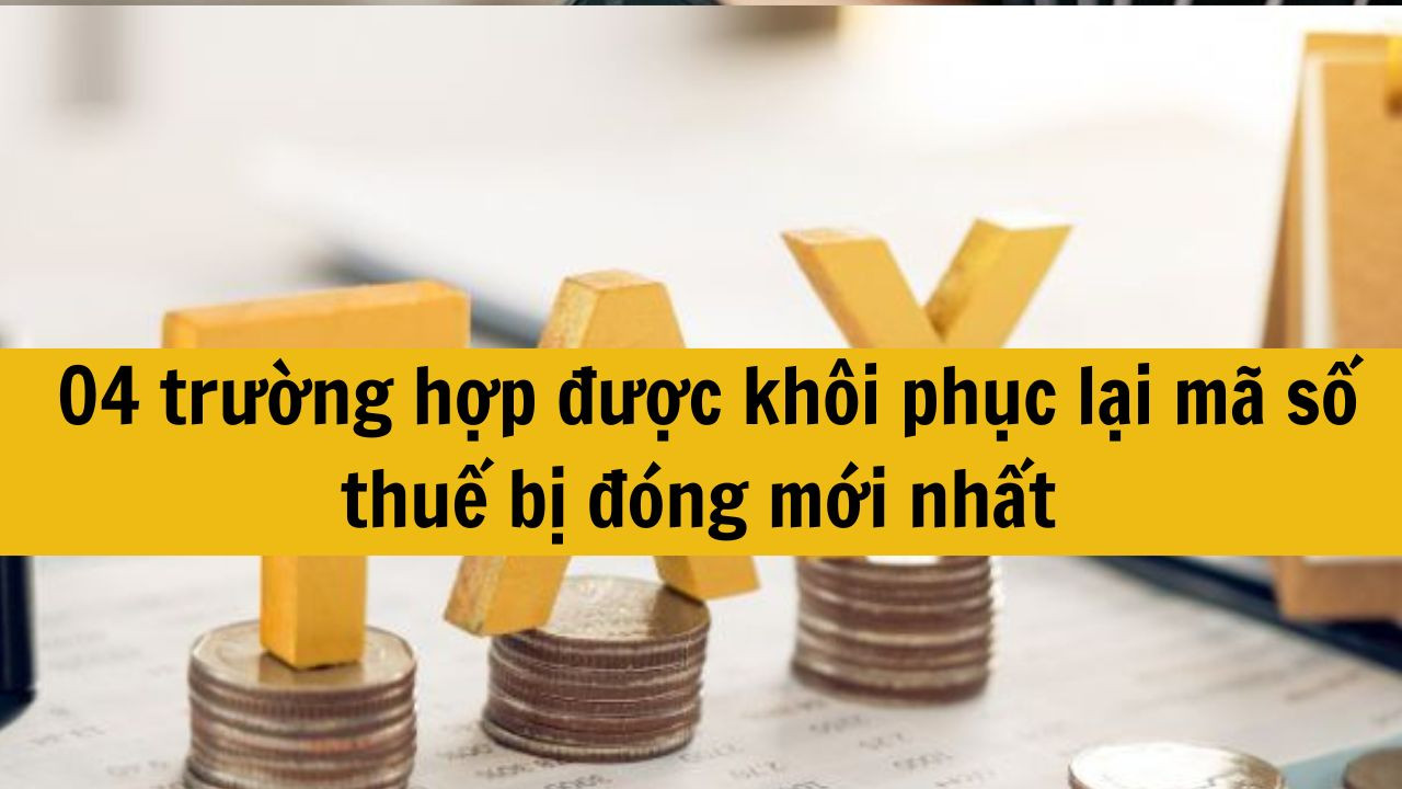 04 trường hợp được kh&ocirc;i phục lại m&atilde; số thuế bị đ&oacute;ng mới nhất 2025?