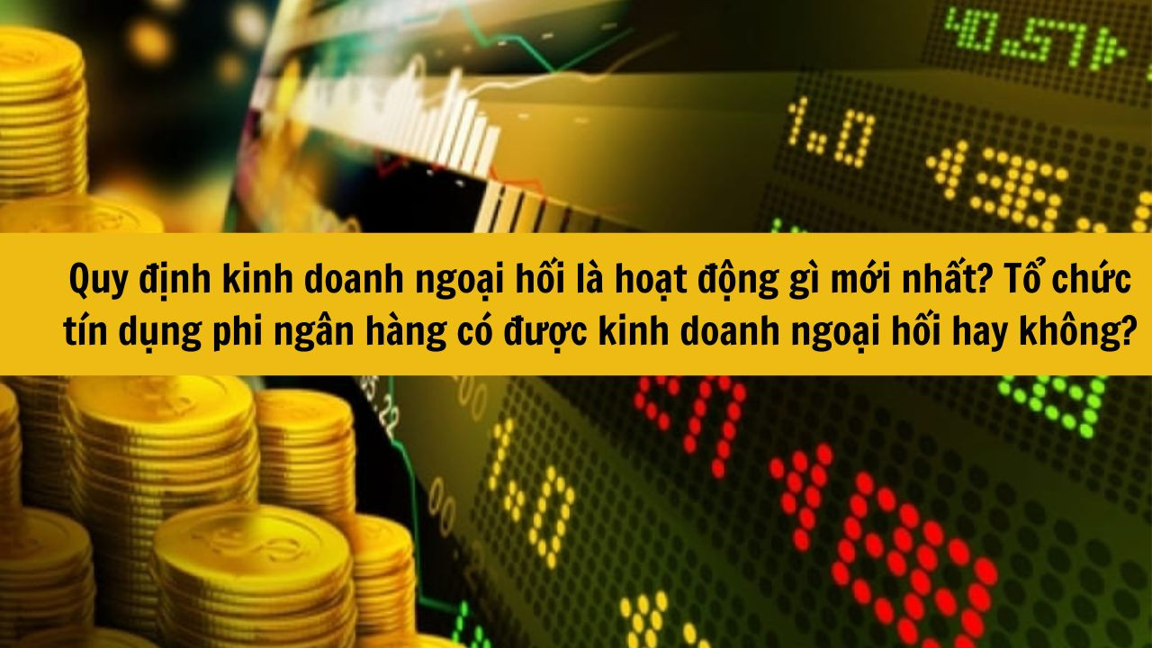 1. Quy định kinh doanh ngoại hối l&agrave; hoạt động g&igrave; mới nhất 2025? Tổ chức t&iacute;n dụng phi ng&acirc;n h&agrave;ng c&oacute; được kinh doanh ngoại hối hay kh&ocirc;ng?