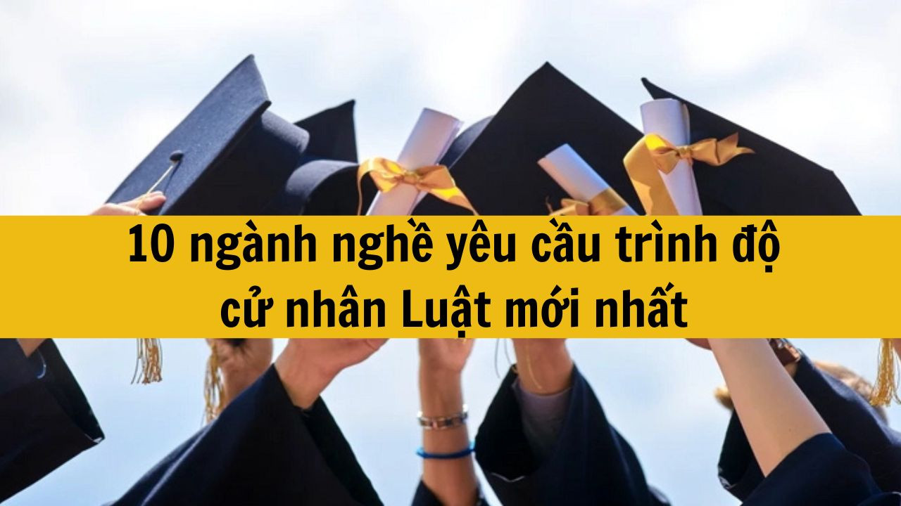10 ng&agrave;nh nghề y&ecirc;u cầu tr&igrave;nh độ cử nh&acirc;n Luật mới nhất 2025