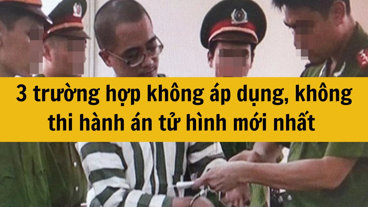 3 trường hợp kh&ocirc;ng &aacute;p dụng, kh&ocirc;ng thi h&agrave;nh &aacute;n tử h&igrave;nh mới nhất 2025