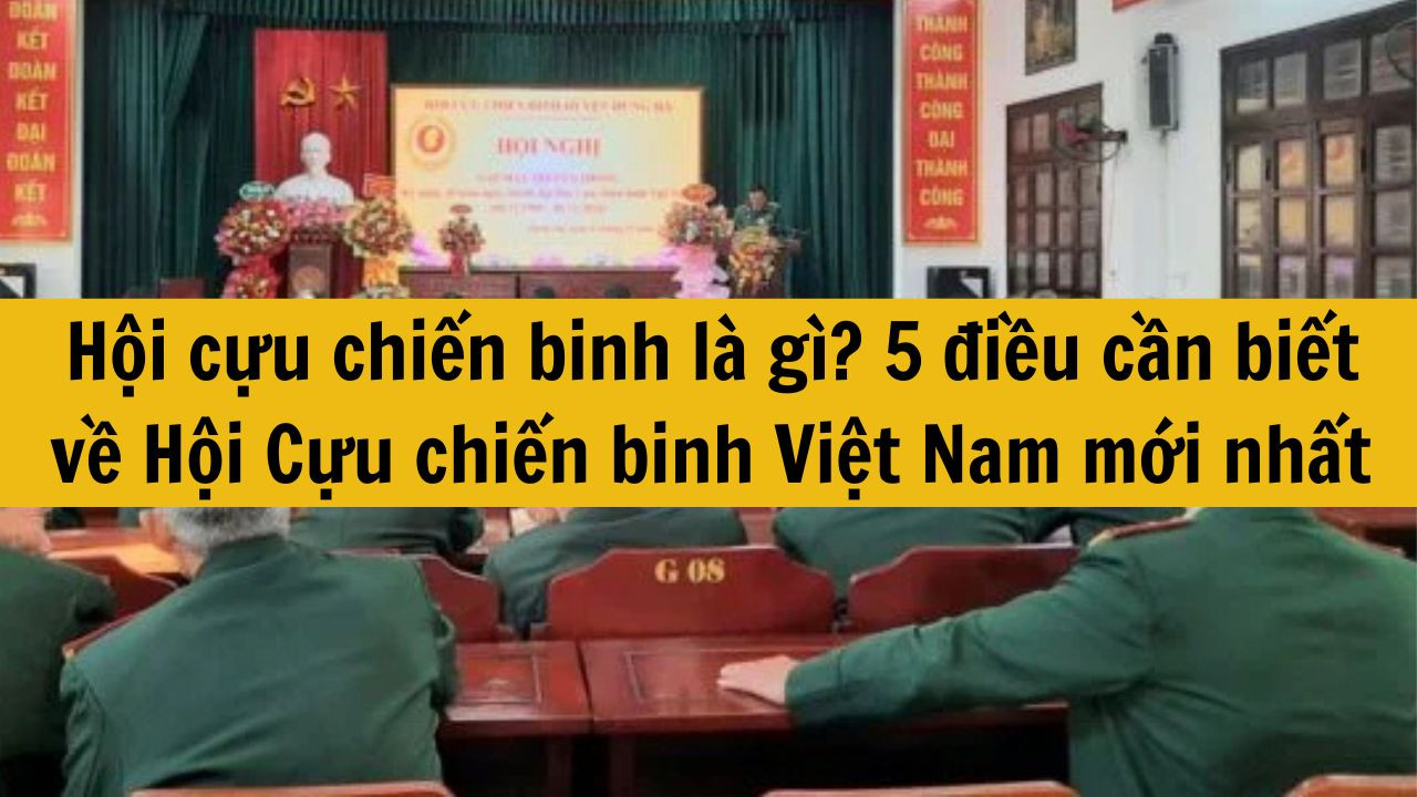 Hội cựu chiến binh l&agrave; g&igrave;? 5 điều cần biết về Hội Cựu chiến binh Việt Nam mới nhất 2025
