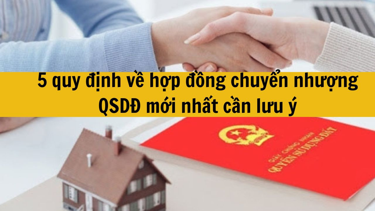 5 quy định về hợp đồng chuyển nhượng QSDĐ mới nhất 2025 cần lưu &yacute;