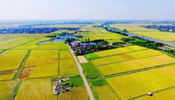 Thủ tục xử phạt vi phạm h&agrave;nh ch&iacute;nh trong lĩnh vực đất đai c&oacute; l&agrave; thủ tục h&agrave;nh ch&iacute;nh về đất đai?