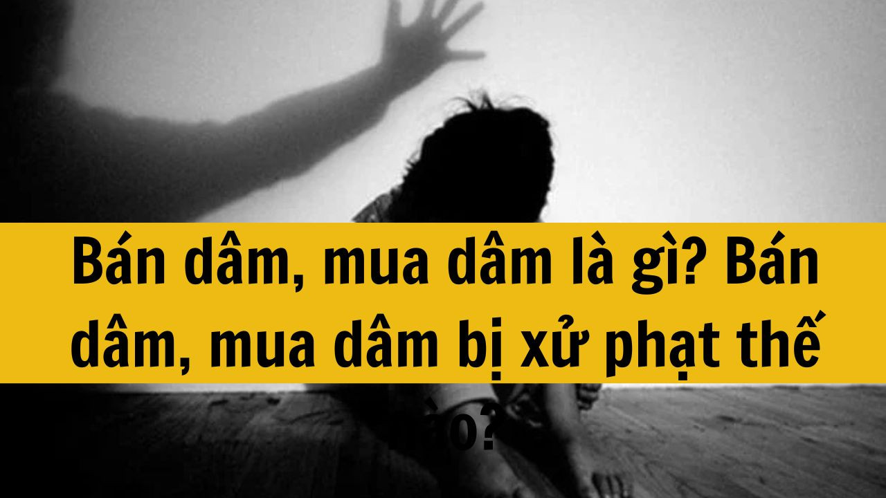 B&aacute;n d&acirc;m, mua d&acirc;m l&agrave; g&igrave;? B&aacute;n d&acirc;m, mua d&acirc;m bị xử phạt thế n&agrave;o?