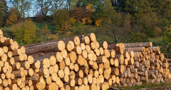 Những điều phải lưu &yacute; khi lập bản k&ecirc; l&acirc;m sản