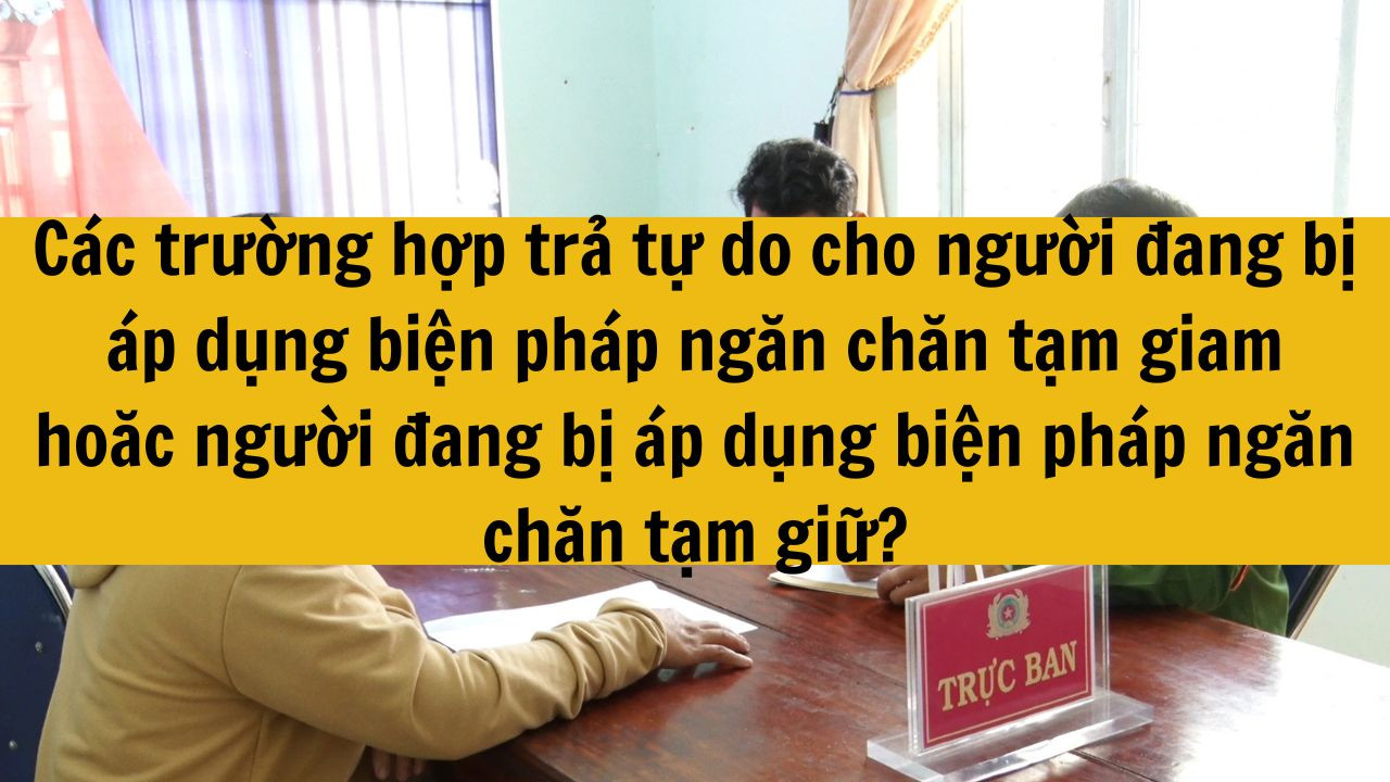 C&aacute;c trường hợp trả tự do cho người đang bị &aacute;p dụng biện ph&aacute;p ngăn chặn tạm giam hoặc người đang bị &aacute;p dụng biện ph&aacute;p ngăn chặn tạm giữ?