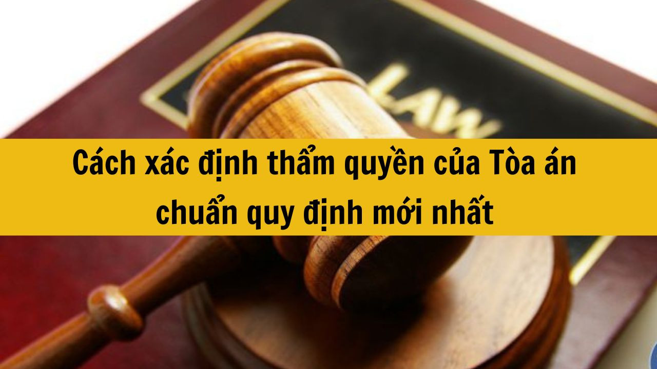 C&aacute;ch x&aacute;c định thẩm quyền của T&ograve;a &aacute;n chuẩn quy định mới nhất 2025