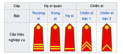 Cấp hiệu của hạ sĩ quan, chiến sĩ