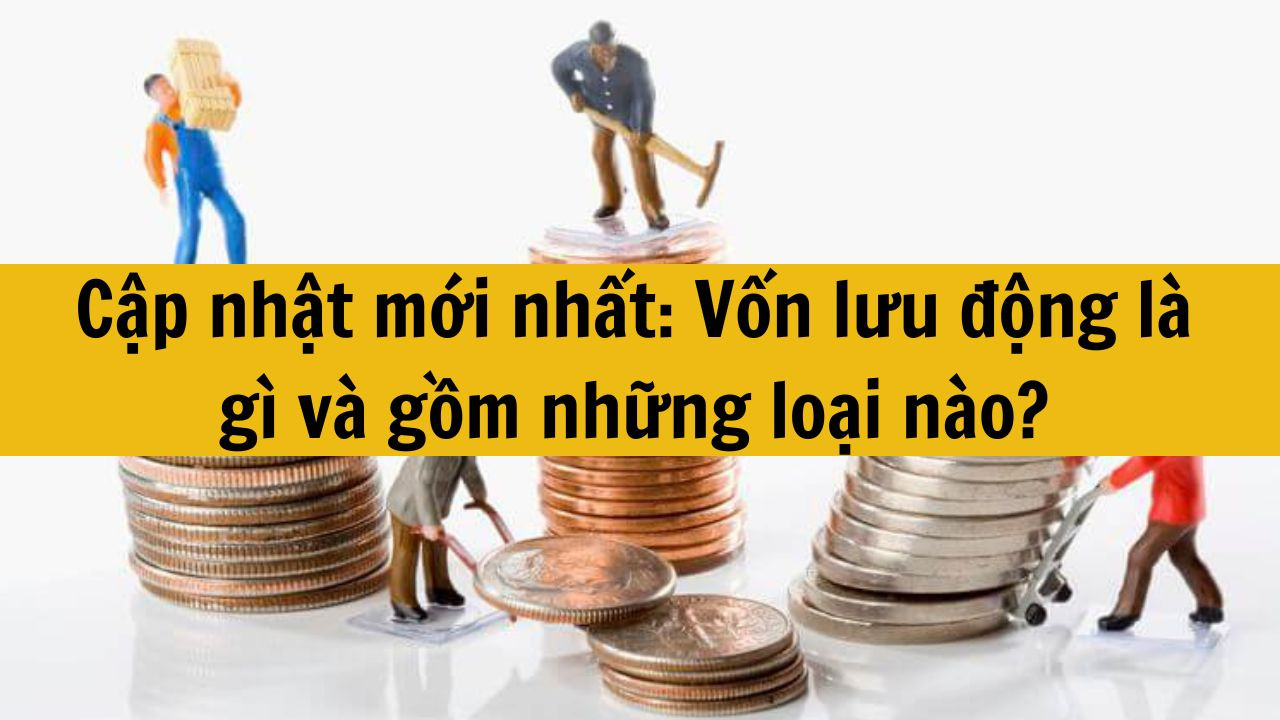 Cập nhật mới nhất 2025: Vốn lưu động l&agrave; g&igrave; v&agrave; gồm những loại n&agrave;o?