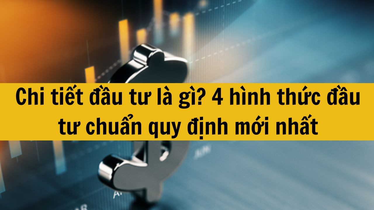 Chi tiết đầu tư l&agrave; g&igrave;? 4 h&igrave;nh thức đầu tư chuẩn quy định mới nhất 2025