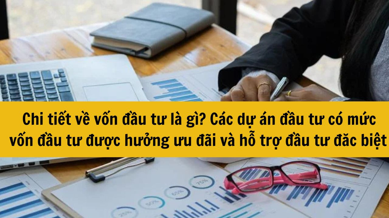 Chi tiết về vốn đầu tư l&agrave; g&igrave;? C&aacute;c dự &aacute;n đầu tư c&oacute; mức vốn đầu tư như thế n&agrave;o sẽ được hưởng ưu đ&atilde;i v&agrave; hỗ trợ đầu tư đặc biệt mới nhất 2025?