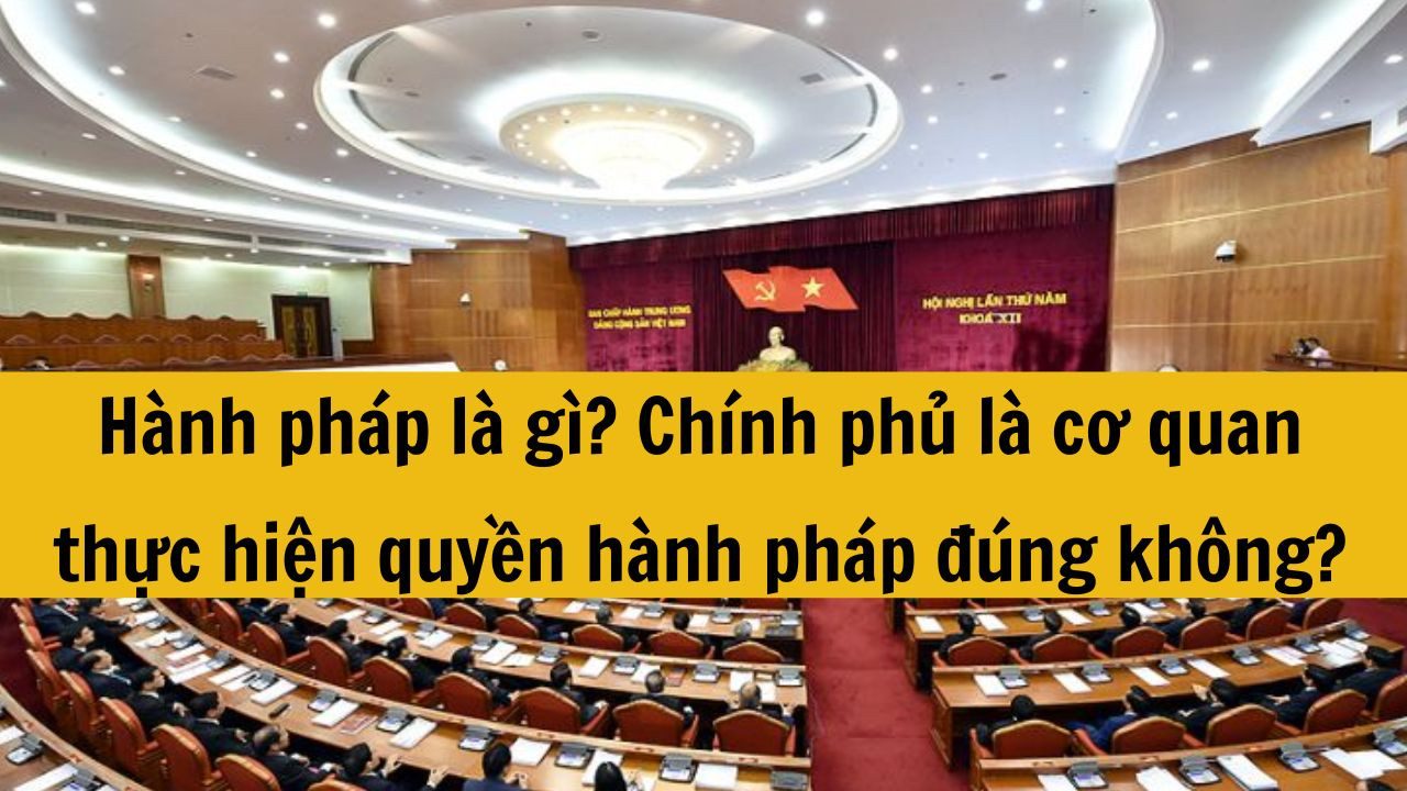 H&agrave;nh ph&aacute;p l&agrave; g&igrave;? Ch&iacute;nh phủ l&agrave; cơ quan thực hiện quyền h&agrave;nh ph&aacute;p đ&uacute;ng kh&ocirc;ng?