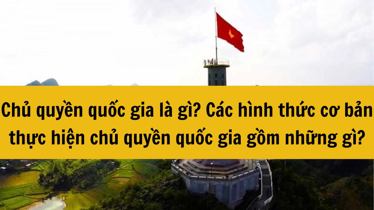 Chủ quyền quốc gia l&agrave; g&igrave; mới nhất 2025? C&aacute;c h&igrave;nh thức cơ bản thực hiện chủ quyền quốc gia gồm những g&igrave;?