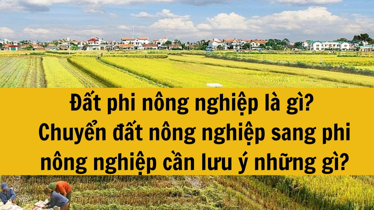 Đất phi n&ocirc;ng nghiệp l&agrave; g&igrave;? Chuyển đất n&ocirc;ng nghiệp sang phi n&ocirc;ng nghiệp cần lưu &yacute; những g&igrave;?